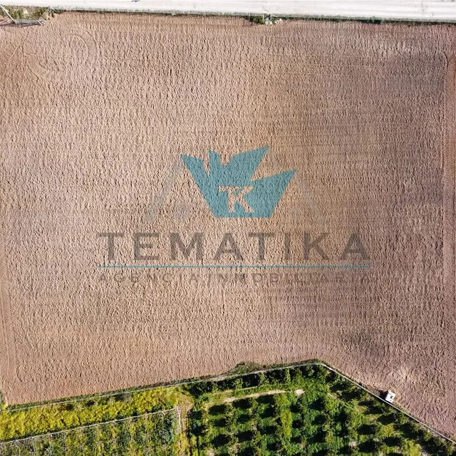 Tematika Inmobiliaria